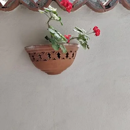 Apartment Adriano's House Cathedral First Floor Catania