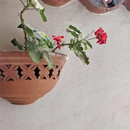Appartamento Adriano's House Cathedral First Floor *